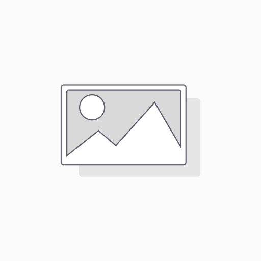 Microsoft Windows Server 2025 Standard  OEM
