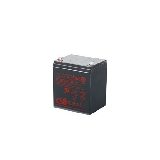 [013AB000260] Salicru Bateria 12 V  5Ah