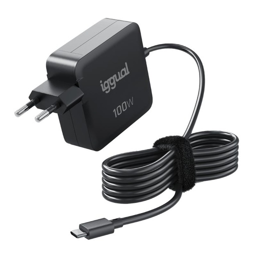[IGG319918] iggual Cargador portátil y móvil tipo C PD 100W